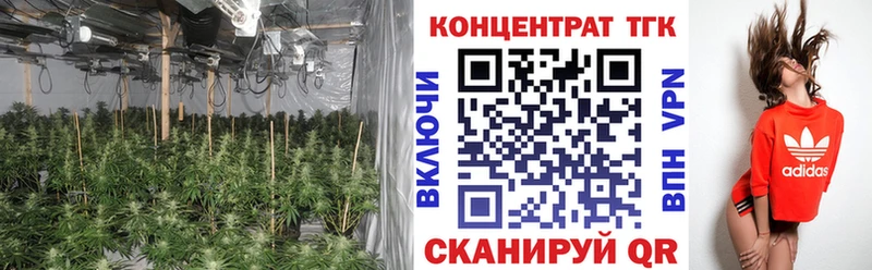 ТГК вейп  продажа наркотиков  гидра ссылка  Яровое 