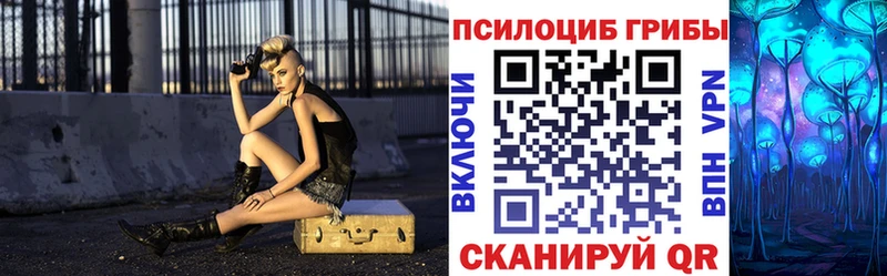 Псилоцибиновые грибы Psilocybine cubensis  как найти закладки  Яровое 